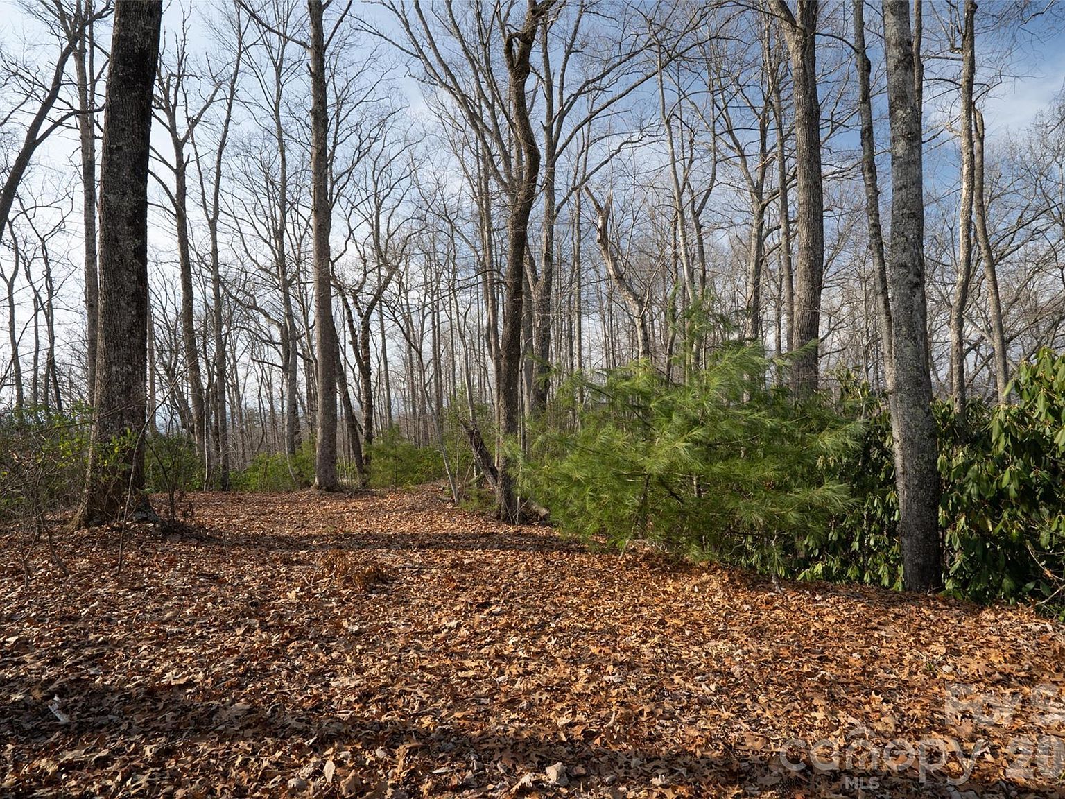 29 Open Ridge Trl Pisgah Forest, NC 28768 - Thumbnail 2