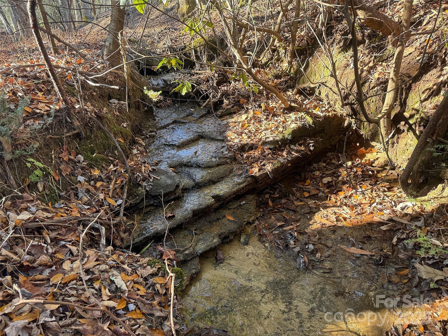 0 Small Creek Rd Brevard, NC 28712 - Thumbnail 2