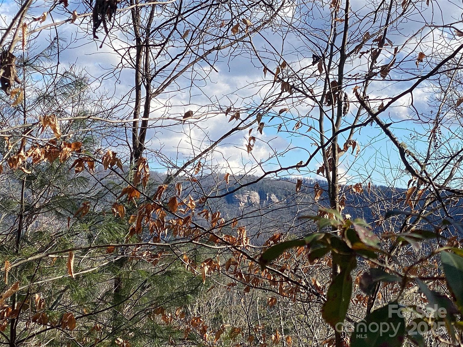 999 High Point Trl Brevard, NC 28712 - Thumbnail 2