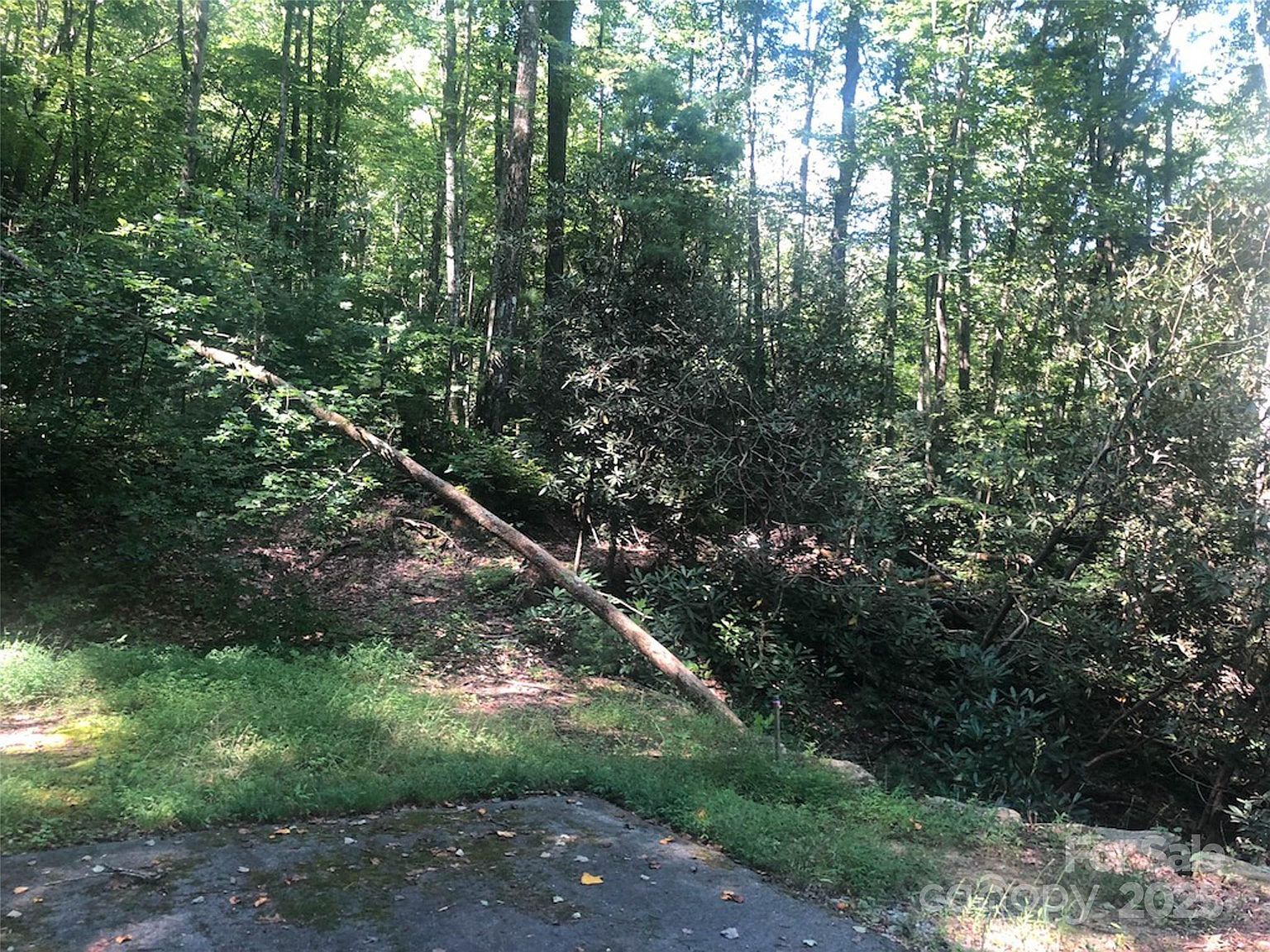 Peppervine Cir #94 Rosman, NC 28772 - Thumbnail 2