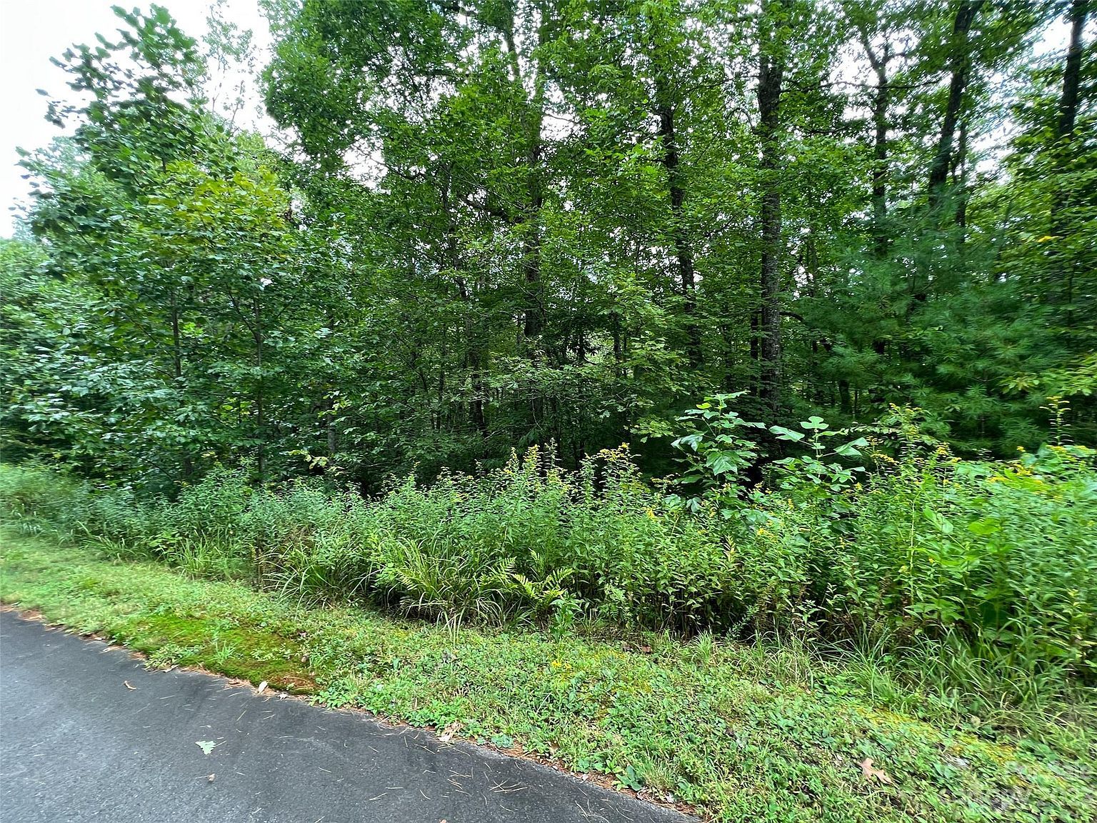 103 Laurel Thicket Brevard, NC 28712 - Thumbnail 2
