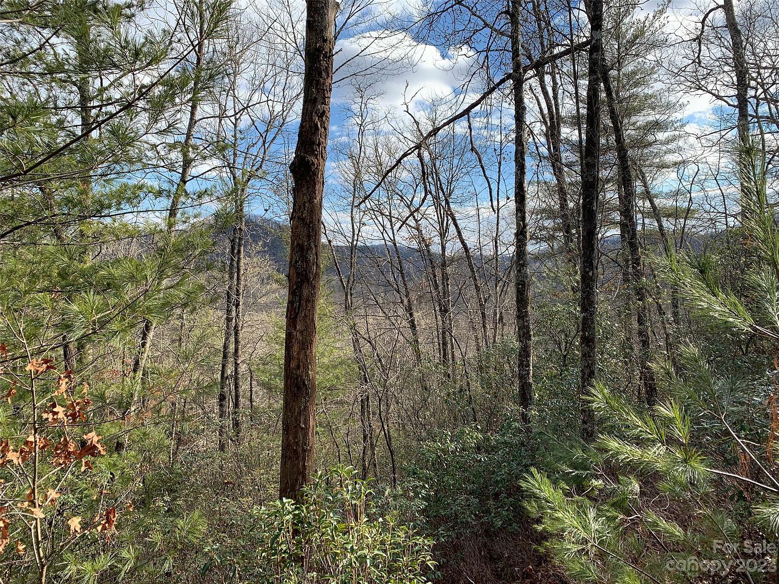 91 Laurel Thicket Brevard, NC 28712 - Thumbnail 2