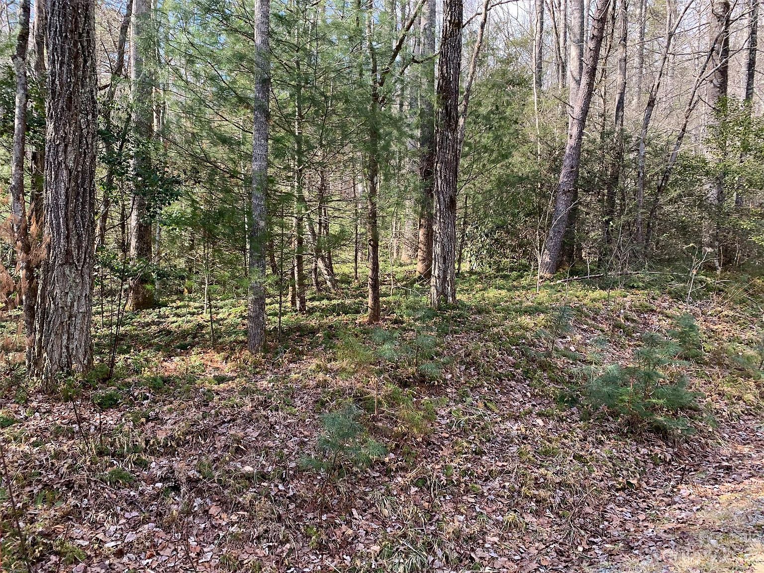 126 Green Hollow Ln Brevard, NC 28712 - Thumbnail 2