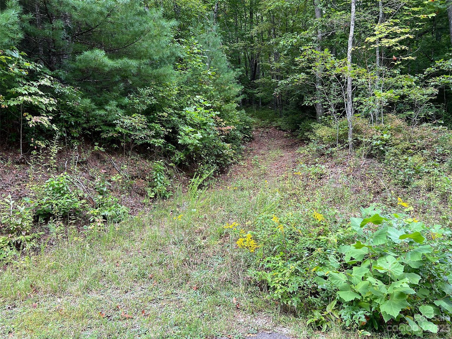 106 Green Hollow Ln Brevard, NC 28712 - Thumbnail 2