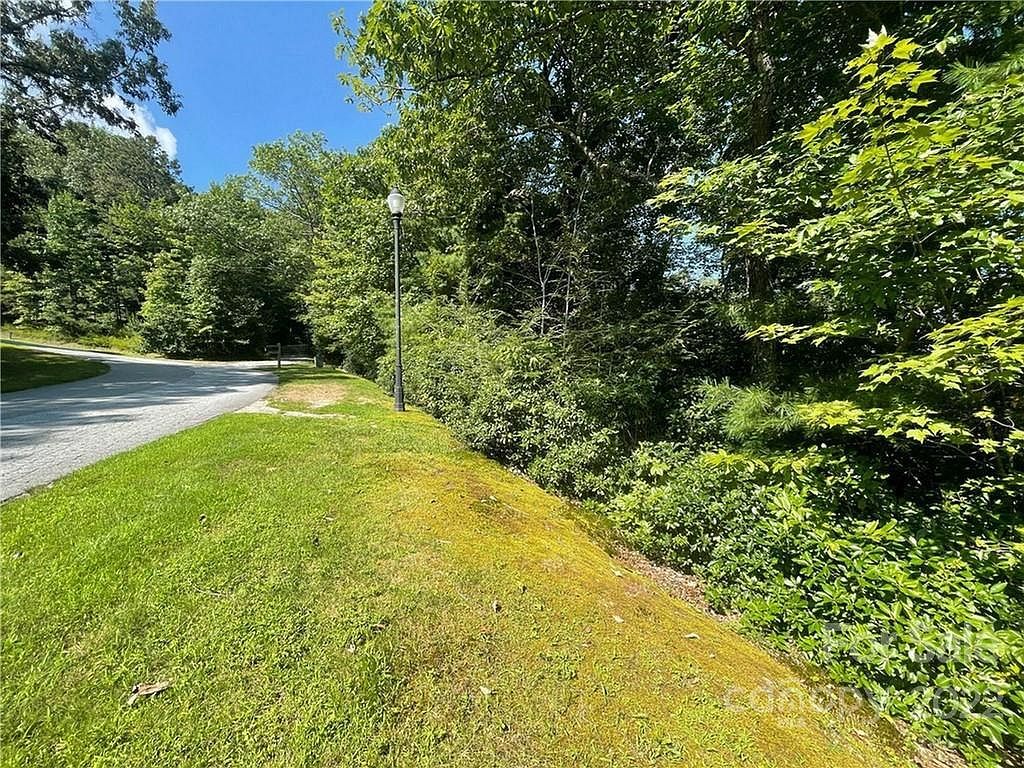 99999 Pine Mountain Trl #M37 Brevard, NC 28712 - Thumbnail 2