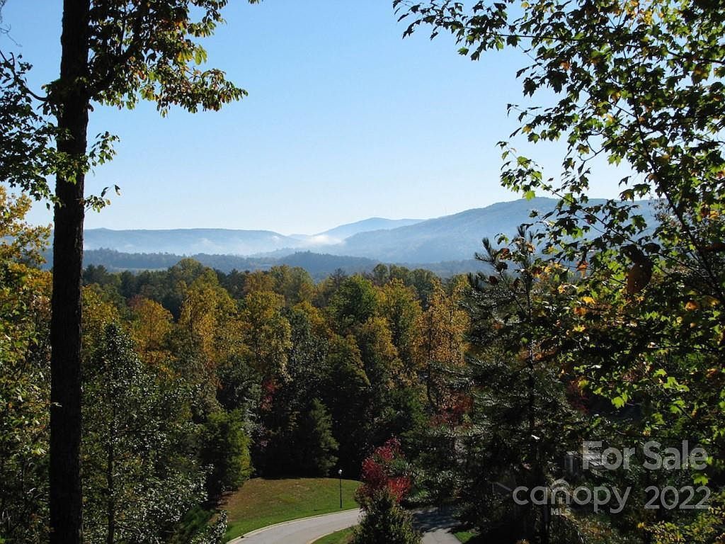 Pine Mountain Trl Brevard, NC 28712 - Thumbnail 2