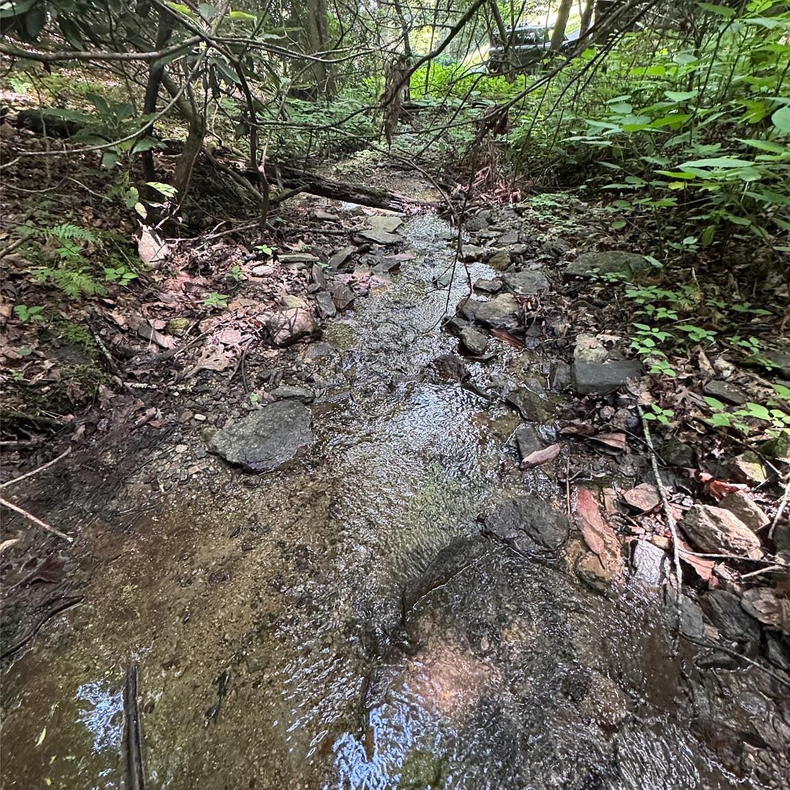 10A Reserve Rd Pisgah Forest, NC 28768, 28768