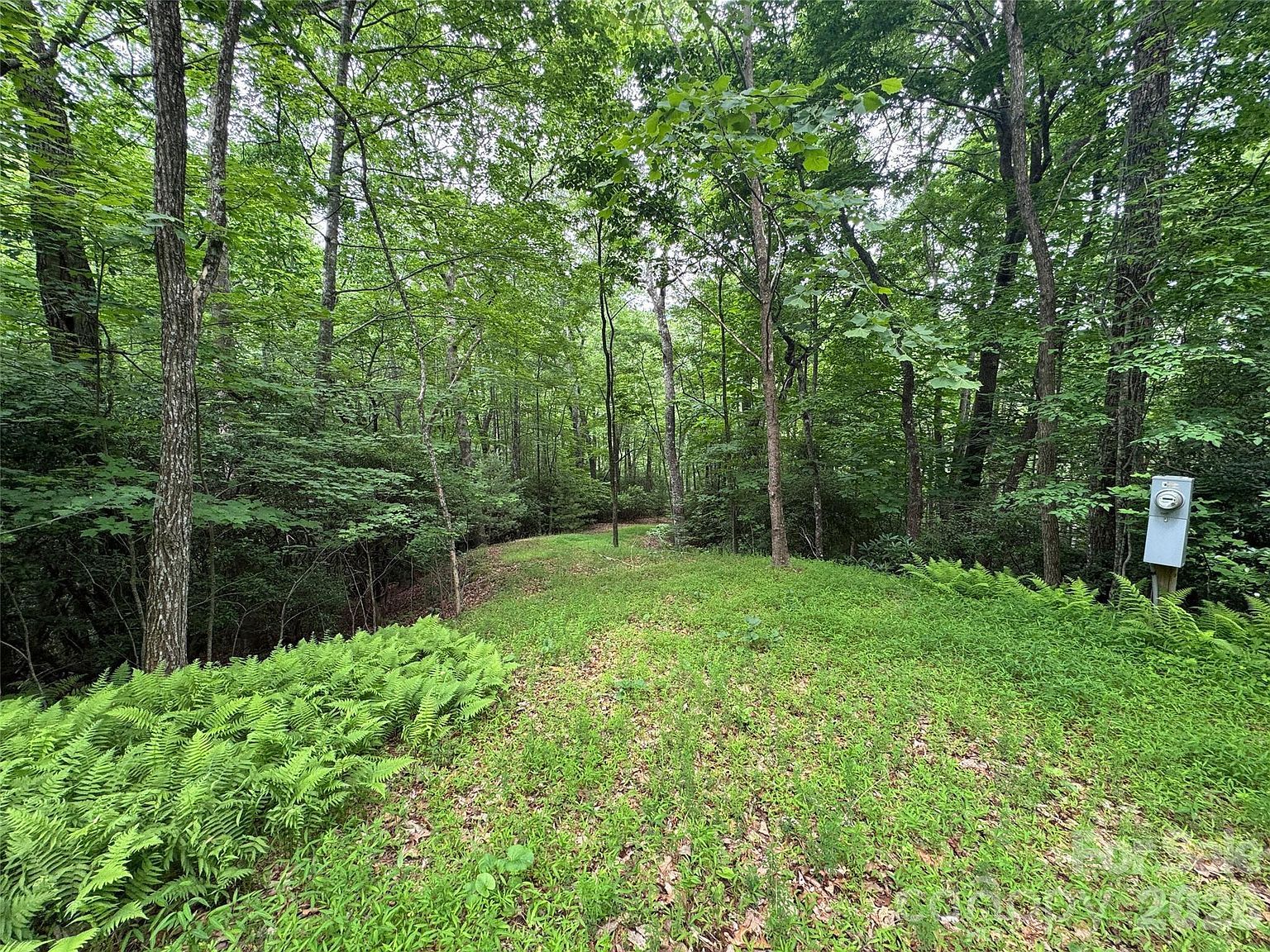 0 Chestnut Oak Ln Pisgah Forest, NC 28768, 28768