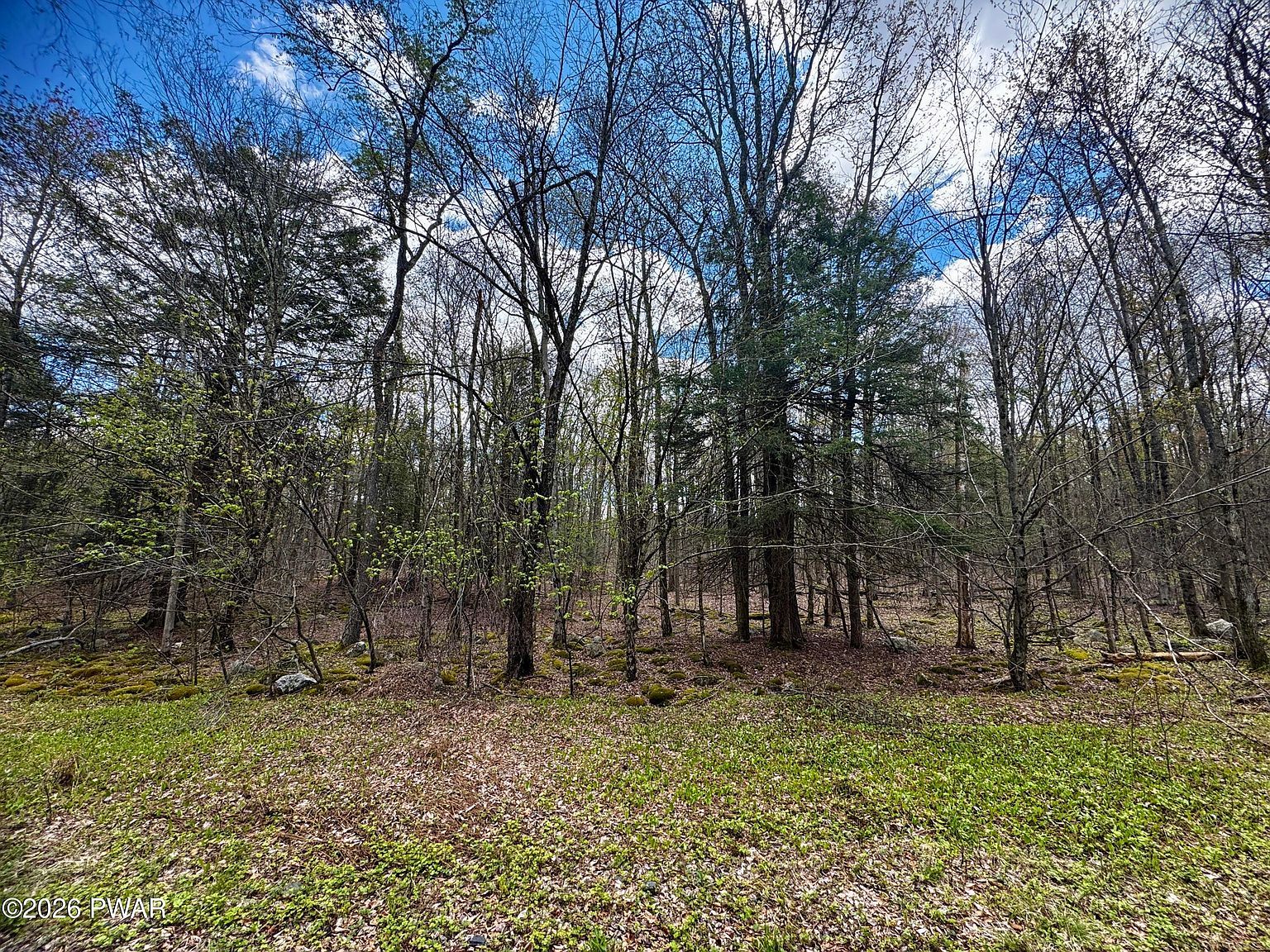 Pleasant Mount Dr Forest City, PA 18421, 18421