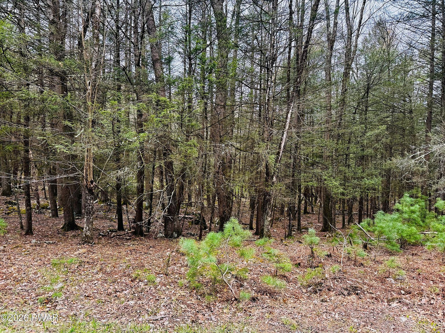 Happy Hollow Dr Shohola, PA 18458 | Land/Lot