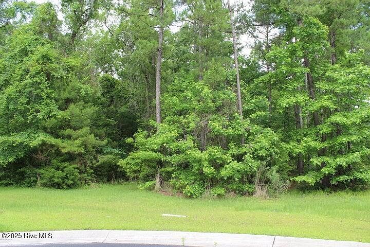 1404 Pindo Ct SE Lot 19 Bolivia, NC 28422, 28422