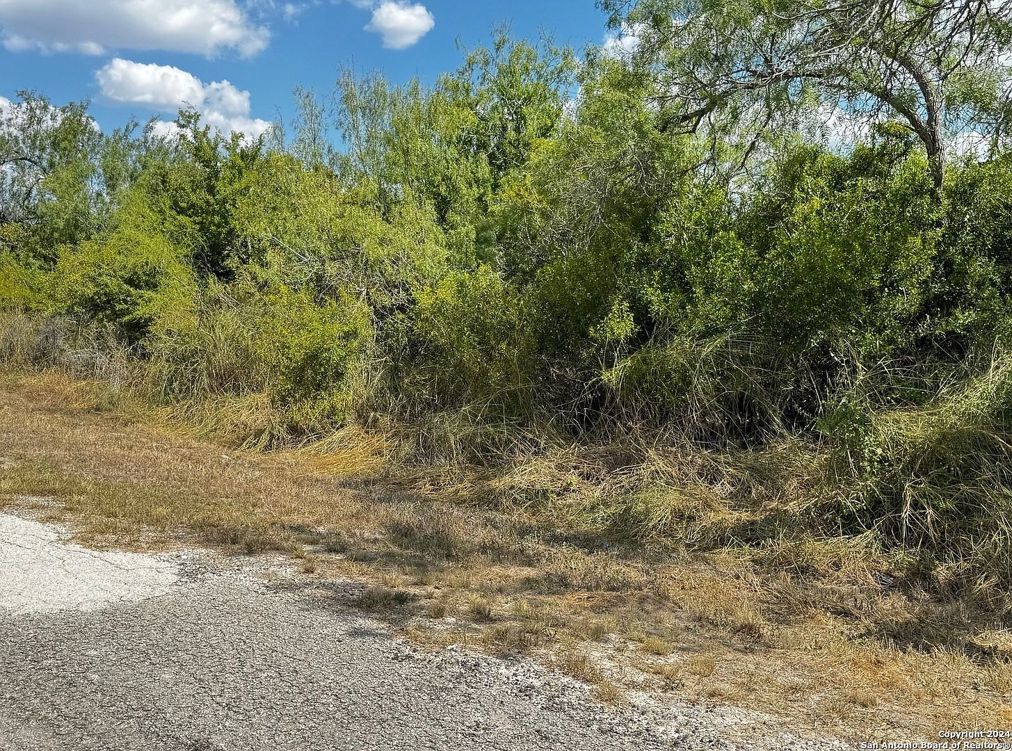 112 Clearview Cir #30 Sandia, TX 78383 - Thumbnail 2