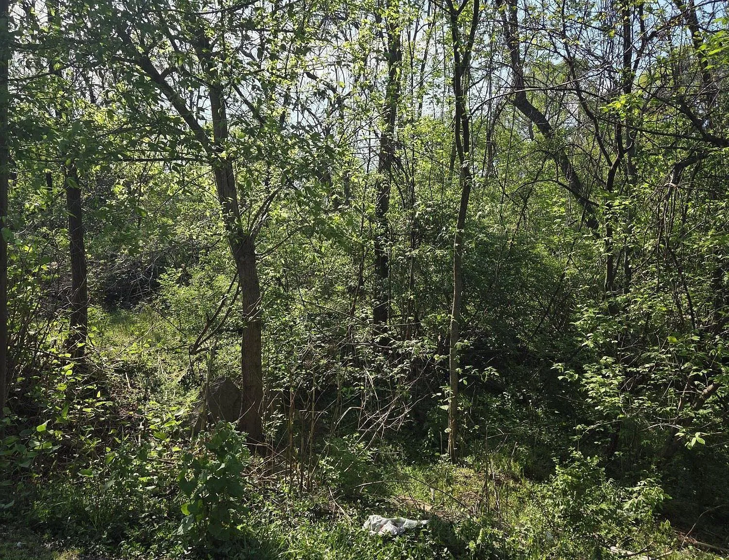 0 Archbold Ave NE Lot 57 Roanoke, VA 24012, 24012