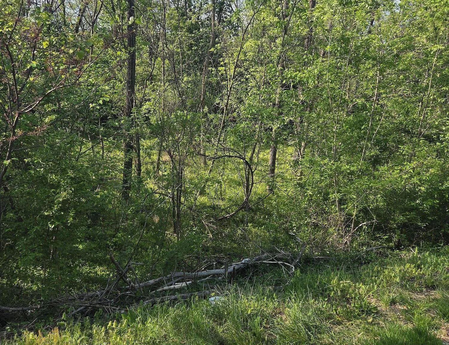 0 Archbold Ave NE Lot 56 Roanoke, VA 24012, 24012