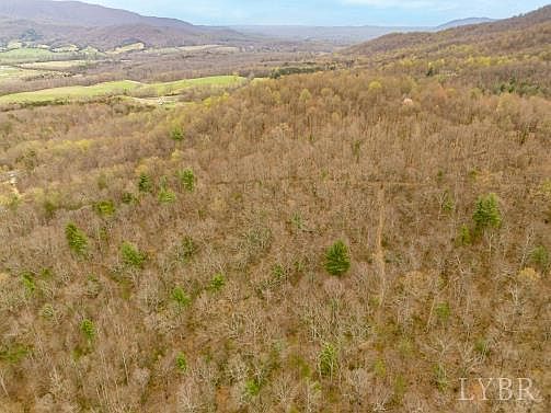 0 Adventure Mountain Rd Montvale, VA 24122  | Land/Lot