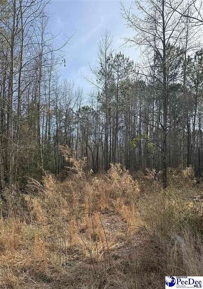 364 Longhorn Ln Cheraw, SC 29520 - Thumbnail 2