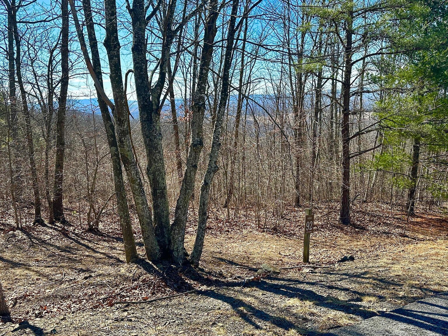 LOT 92 White Rock Trl Caldwell, WV 24925  | Land/Lot