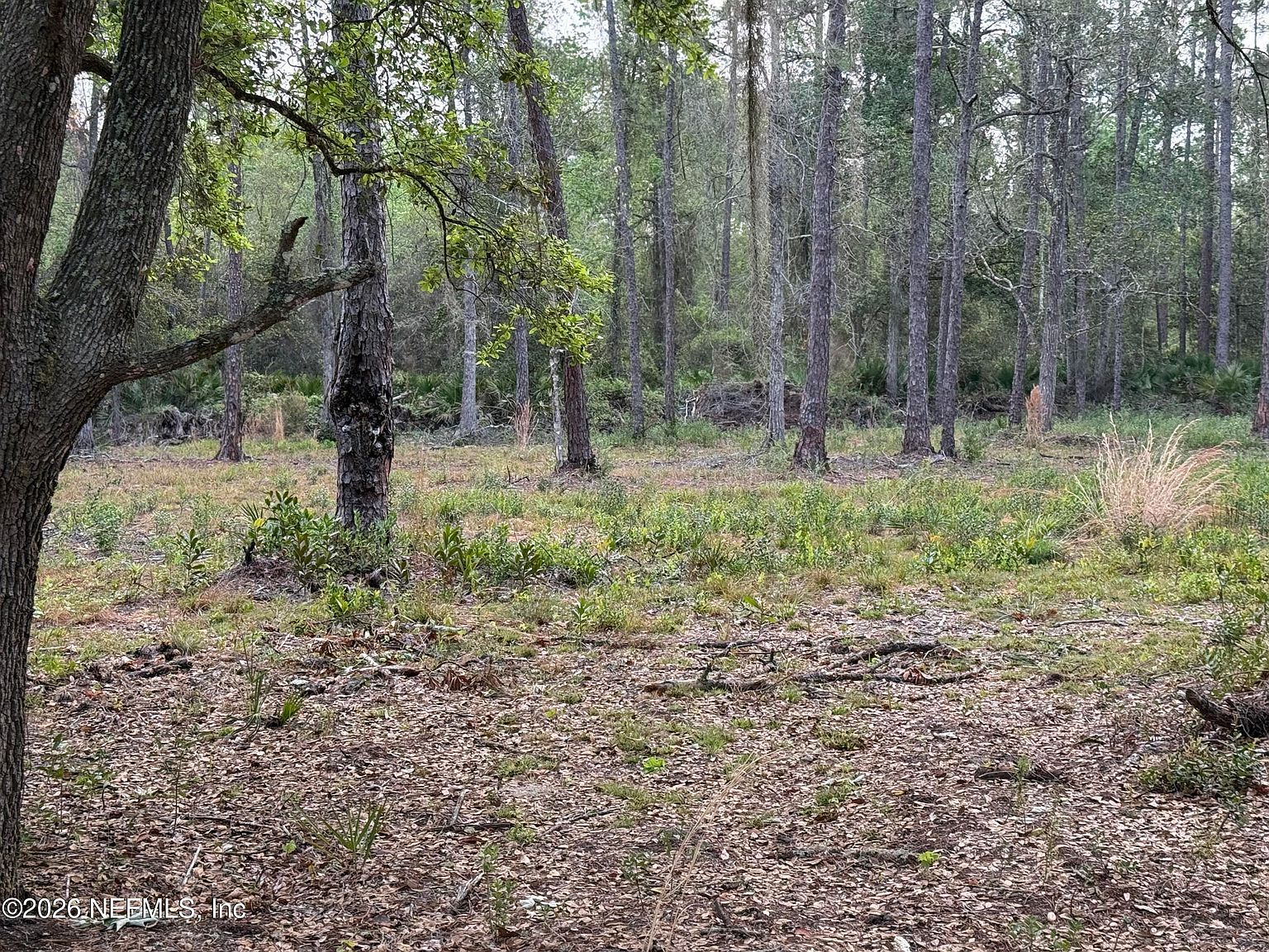 178 Sumter Rd Satsuma, FL 32189  | Land/Lot