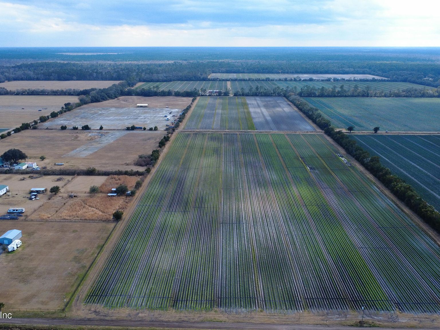 175 County Road 108 Bunnell, FL 32110  | Land/Lot