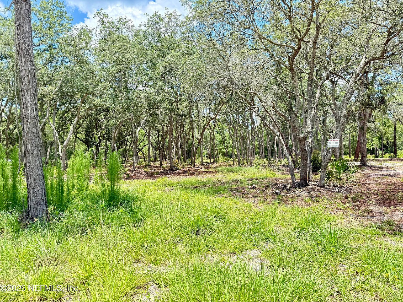 438 Chamberlain Rd Satsuma, FL 32189  | Land/Lot
