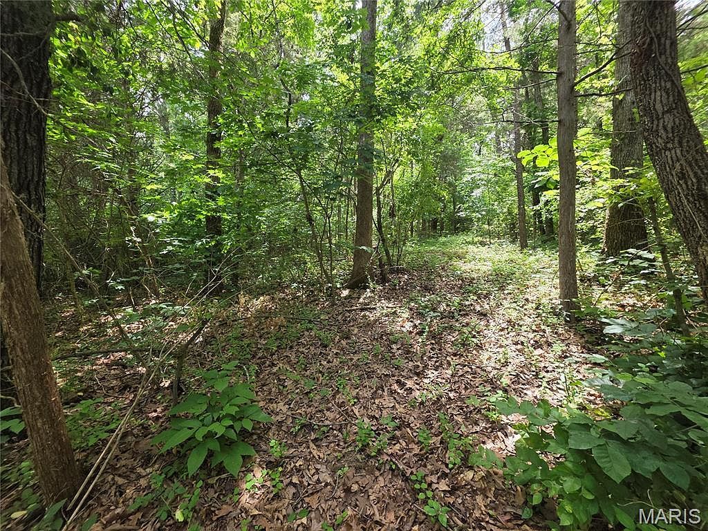 0 S Lakeshore Dr Hillsboro, MO 63050, 63050