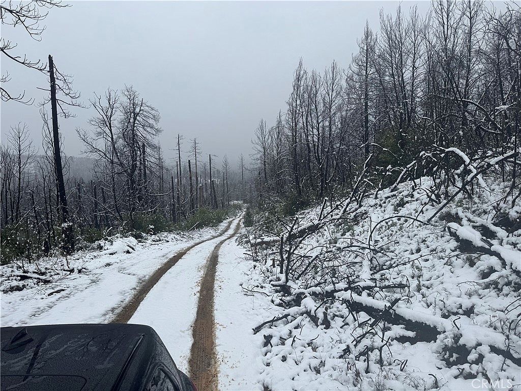 111 Seminole Dr Berry Creek, CA 95916  | Land/Lot