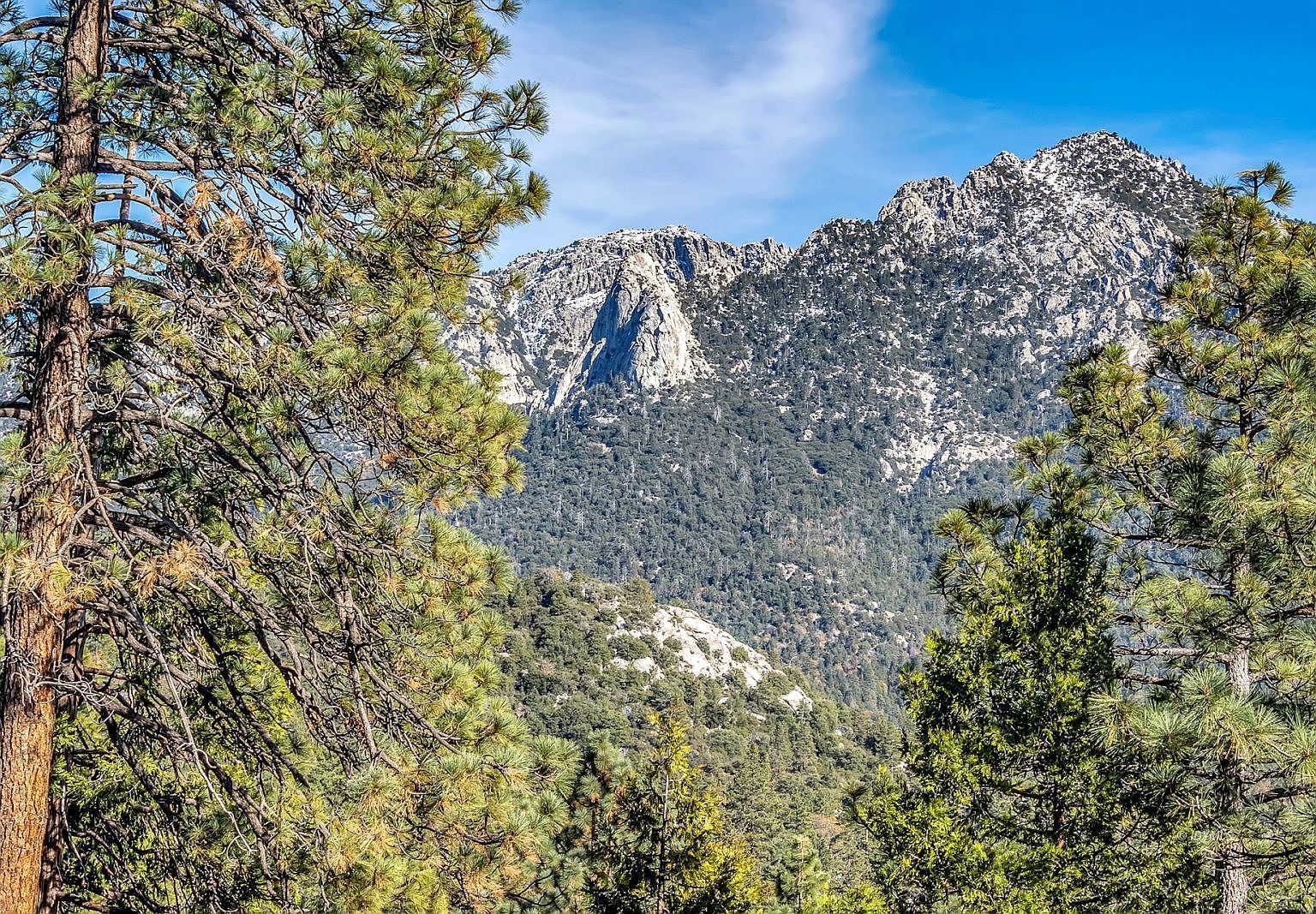 Jeffery Pine Rd Idyllwild, CA 92549  | Land/Lot