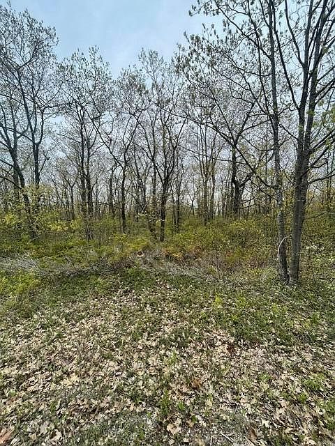 LOT 130 Highland Pines Rd Presque Isle, MI 49777  | Land/Lot