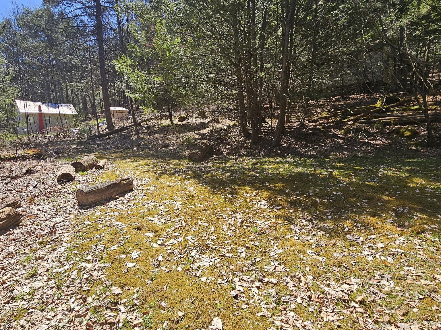 4 First Fork Rd Sinnamahoning, PA 15861  | Land/Lot