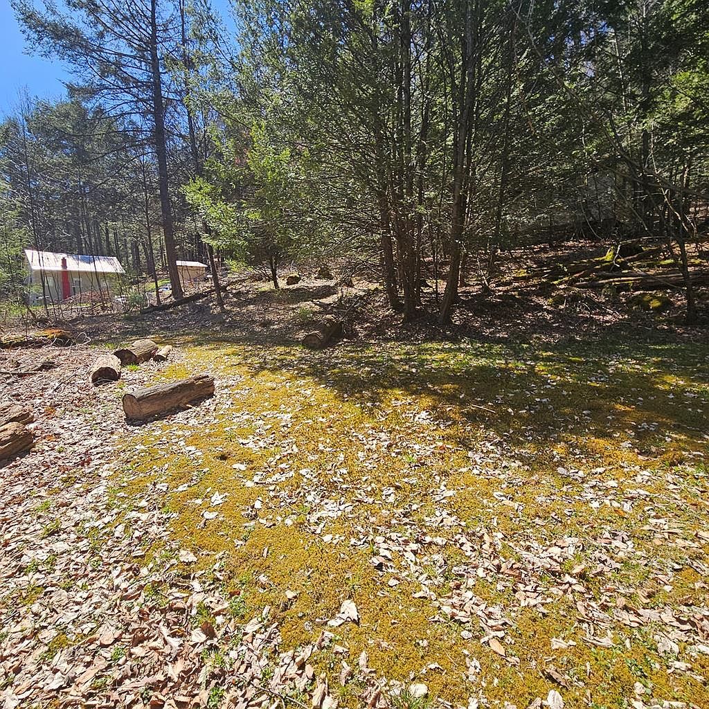 0 First Fork Rd Sinnamahoning, PA 15861  | Land/Lot