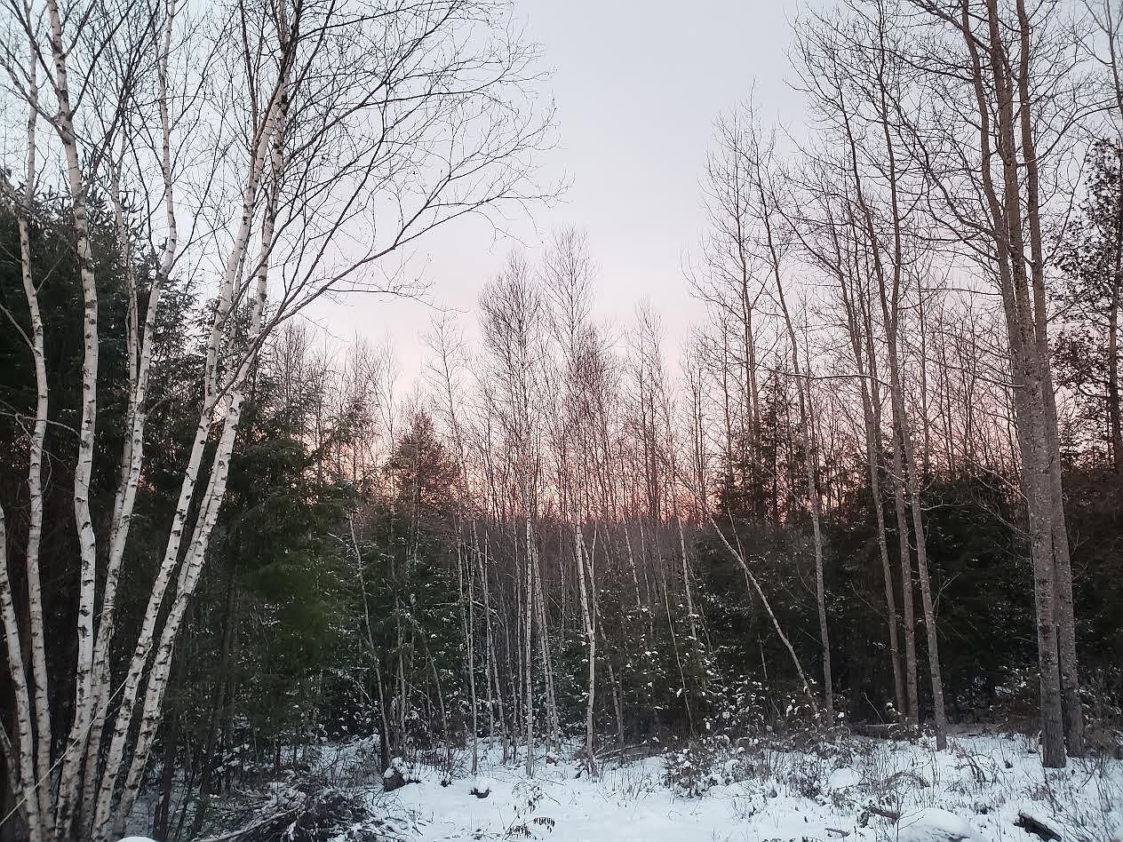 LOT Old Commonwealth West Enfield, ME 04493  | Land/Lot