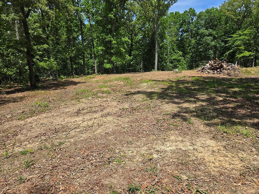 730 Swan Bay Dr Buchanan, TN 38222  | Land/Lot