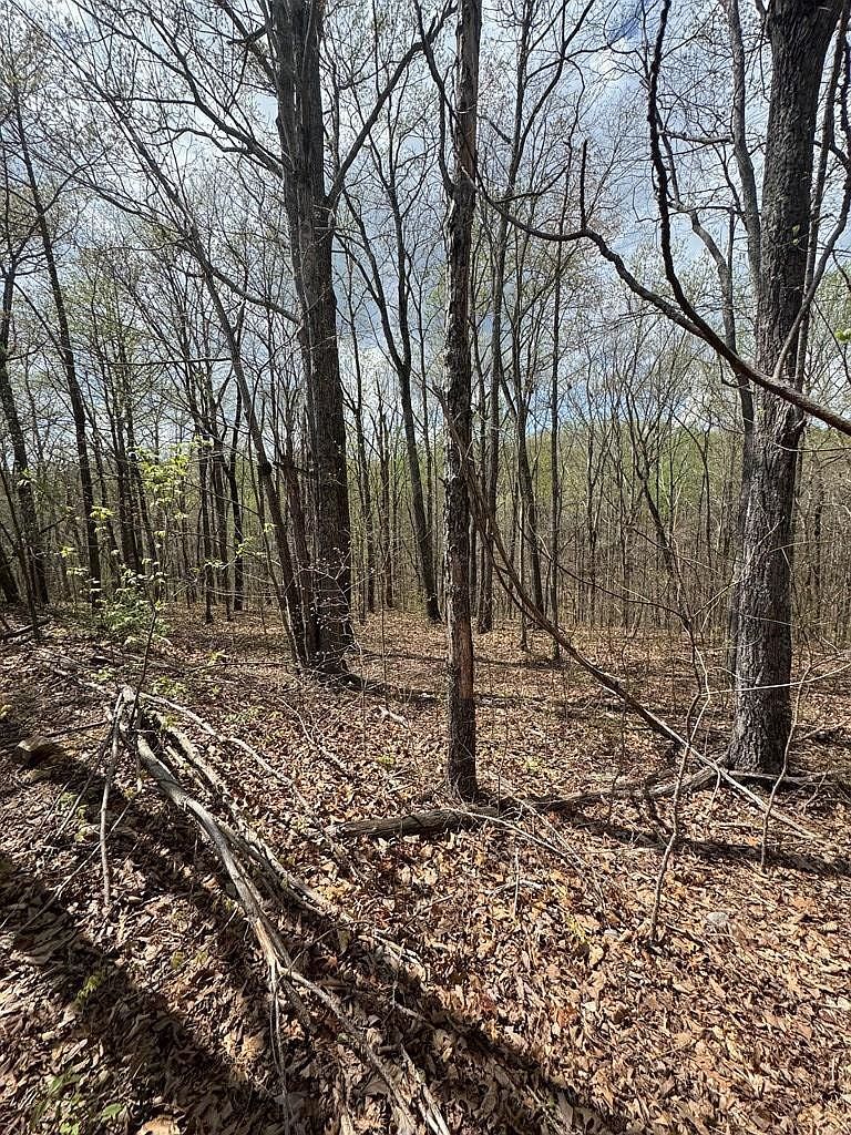345 Drew Ct #345 Smithville, TN 37166, 37166
