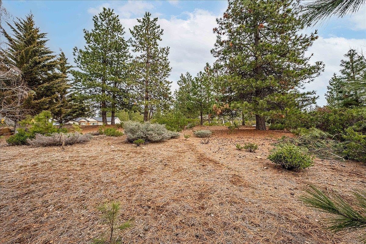 Siskiyou Lake Blvd Unit 2 Mount Shasta, CA 96067 | Land/Lot