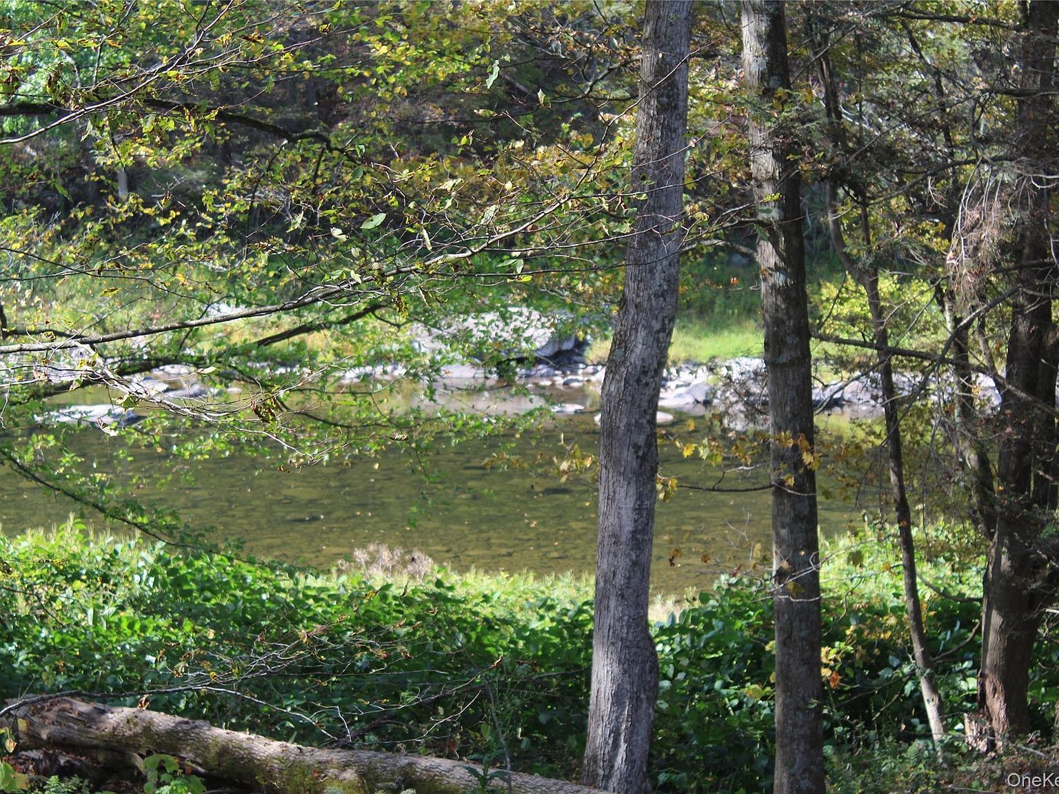 Peakville Rd East Branch, NY 13756, 13756