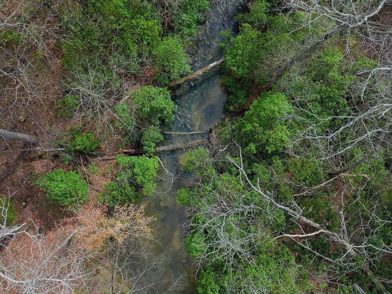 447 Oak Tree Dr Chelsea, AL 35043 | Land/Lot