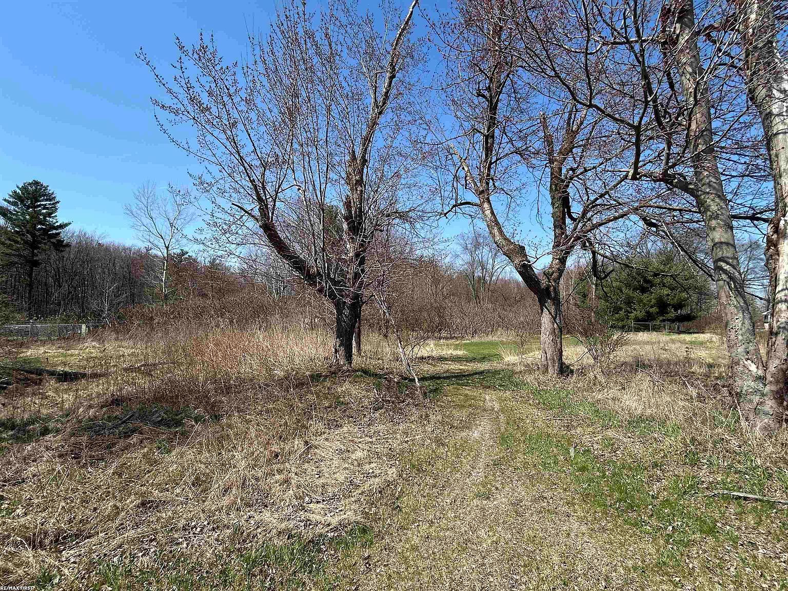 8778 Gratiot Ave Richmond, MI 48063 - Thumbnail 2