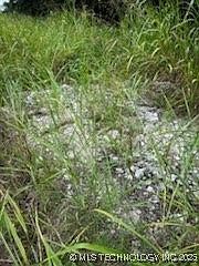 Lakeside Dr Sapulpa, OK 74066 - Thumbnail 2