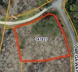 8199 Omega Way LOT 19/19A Summerfield, NC 27358 - Thumbnail 2