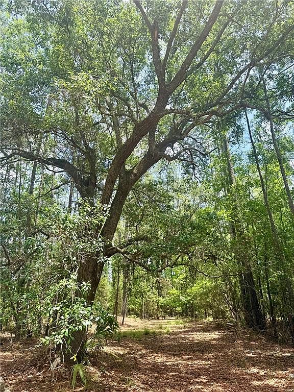 0 Timber Landing Rd Brunswick, GA 31523, 31523