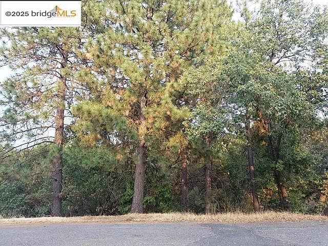 21473 Greenoaks Ct Sonora, CA 95370 - Thumbnail 2