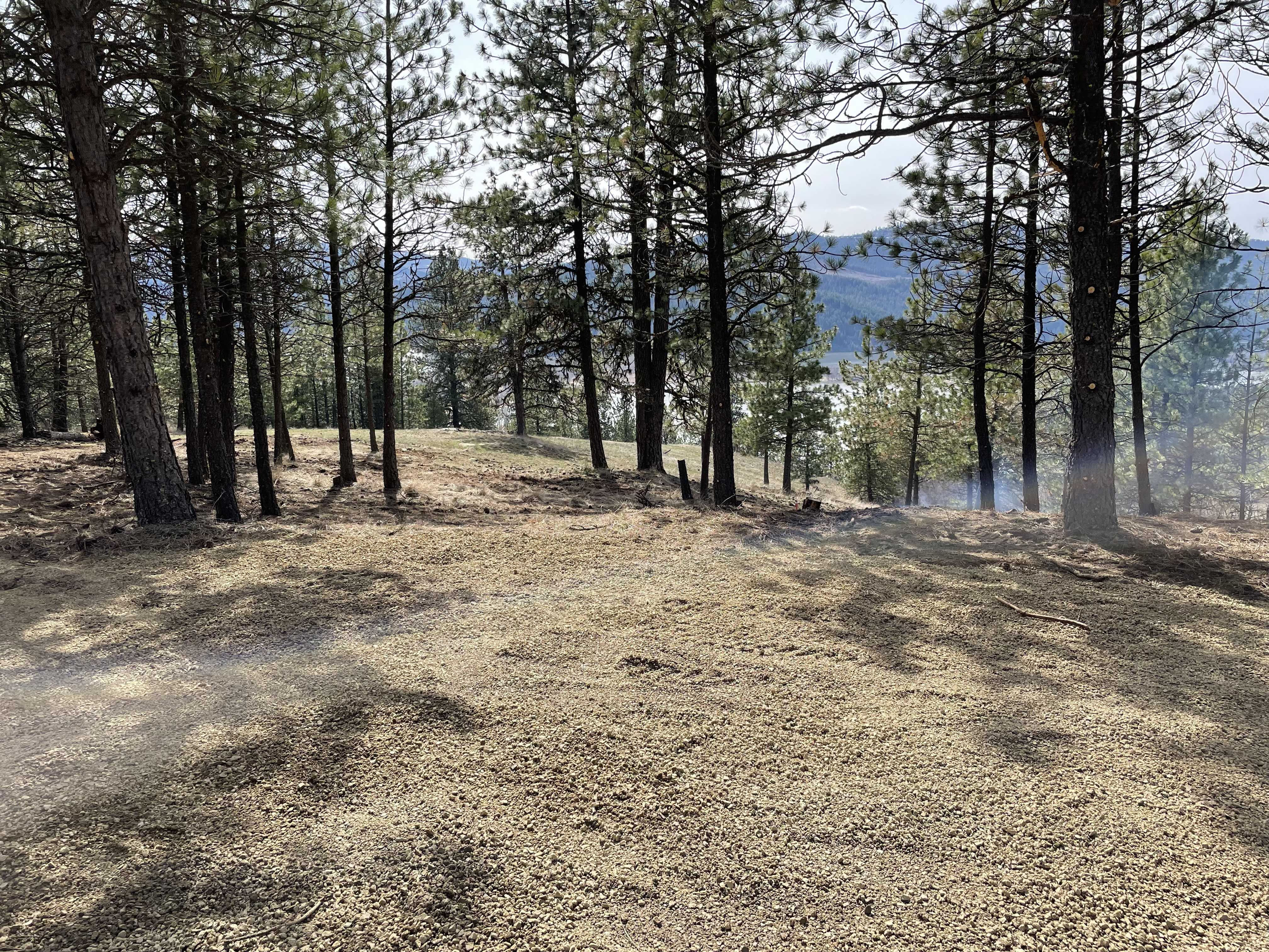 East Holiday Road, Harrison, 83833 - Thumbnail 3