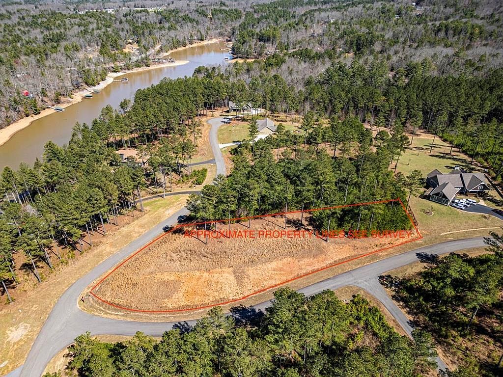 0 Loop Ln Blairsville, GA 30512 - Thumbnail 2