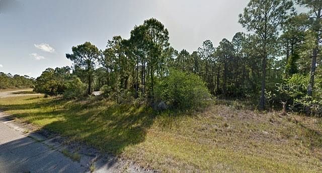 BLUELEAF DRIVE LOT 11 North Pt, FL 34286, 34286