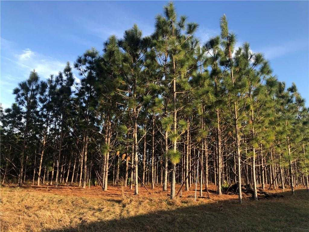 O No Street - Thumbnail 2