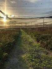 O No Street, Pierson, FL, 32180 - Thumbnail 2