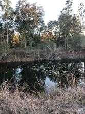 O No Street, Pierson, FL, 32180 - Thumbnail 3