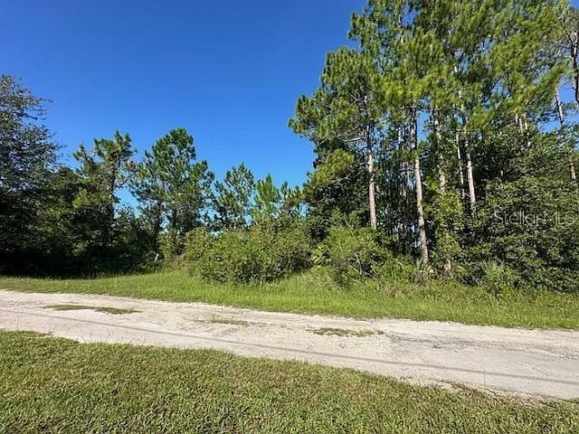Woodland Ave LOT 88 Paisley, FL 32767 - Thumbnail 2