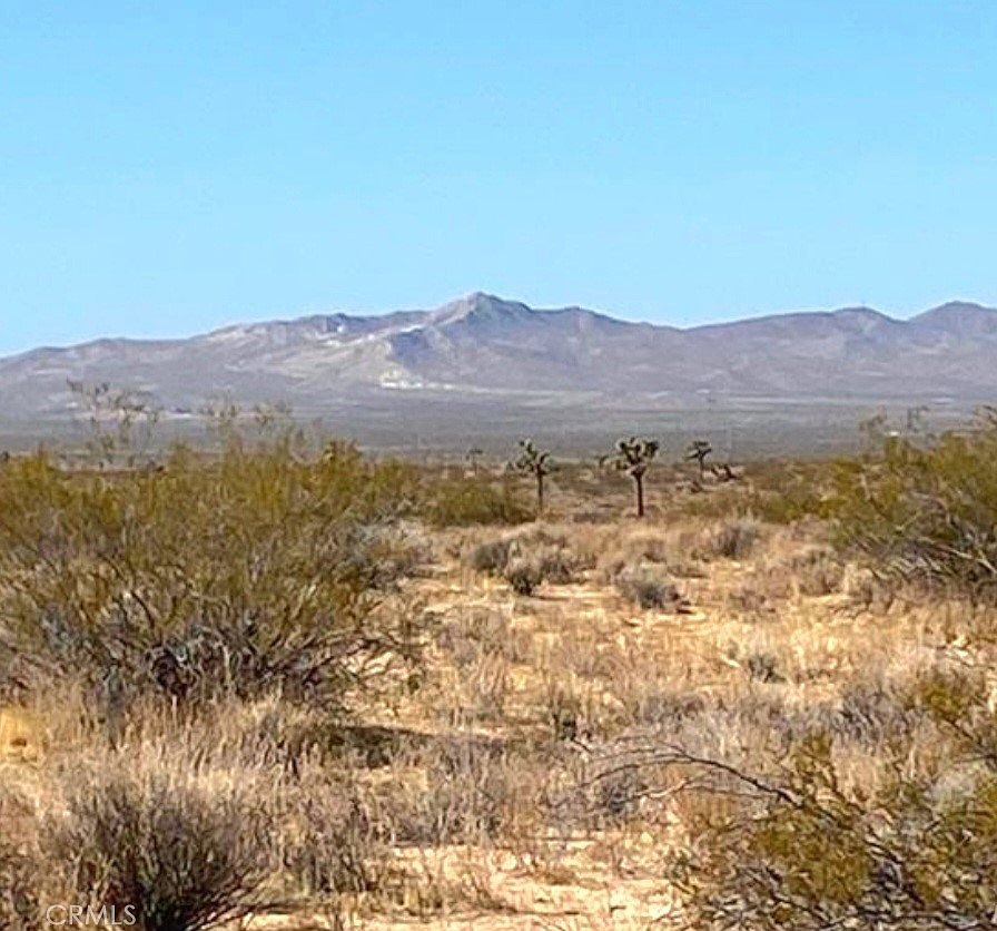 1 Shelby Rd LOT 169 Helendale, CA 92342 - Thumbnail 2