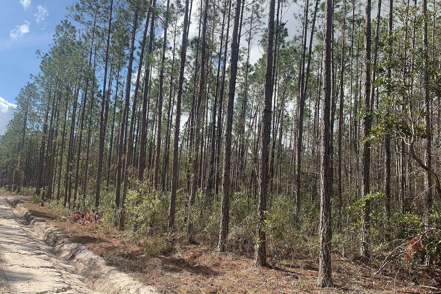 Tdb Northeast Dr #25 Jasper, FL 32052 - Thumbnail 2